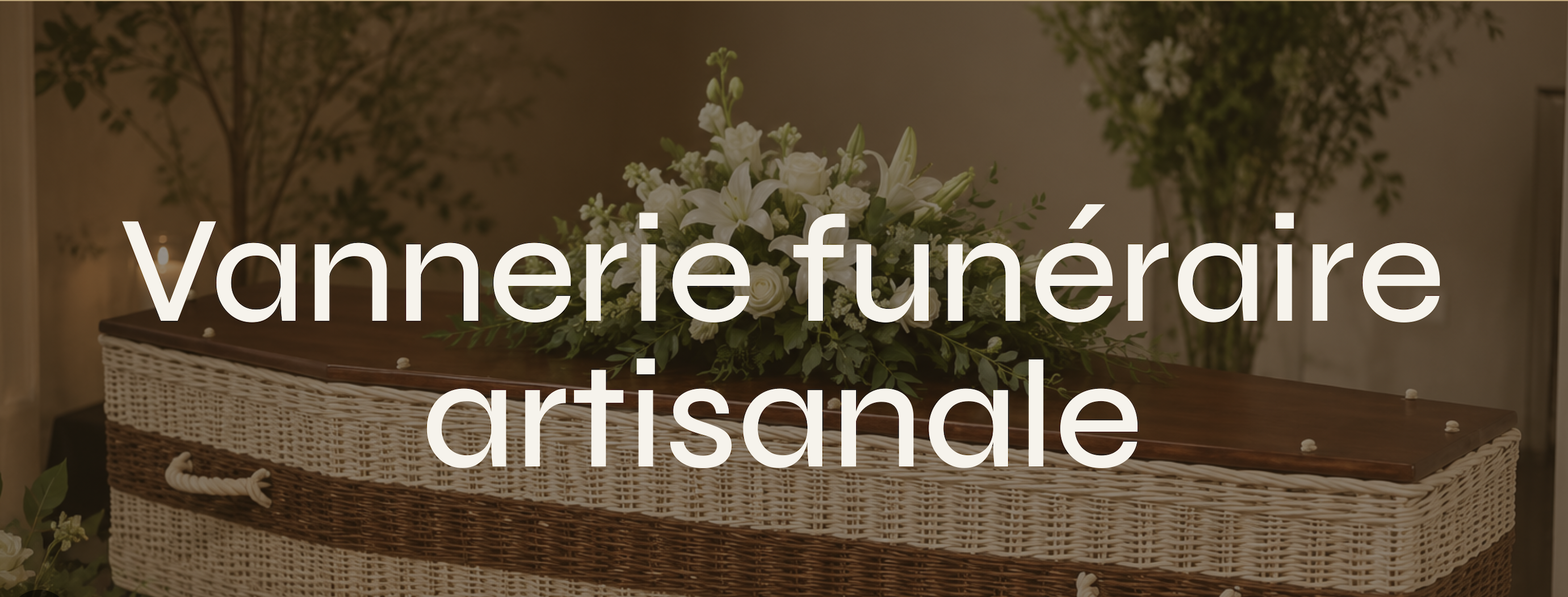 Découvrez notre collection unique